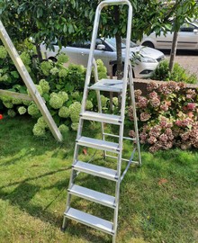 Trapladder