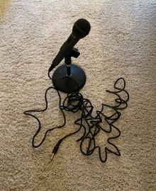 Microphone