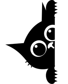 Kattenoppas in Nijmegen