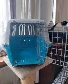 Kattenreismand