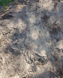Gratis zand / grond / tuinaarde 