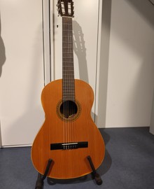 Akoestische gitaar