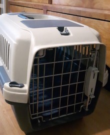 kattenreismand