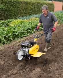 Tuinfrees 5.6PK