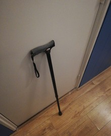 Wandelstok