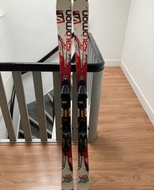 Ski's (en stokken)