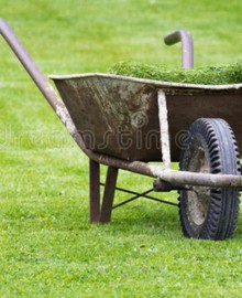 Kruiwagen