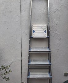 Trapladder