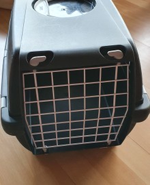 Kattenreismand