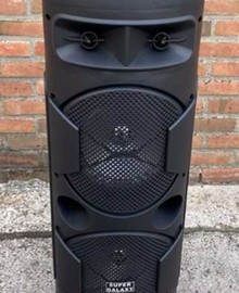 Party Speaker