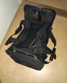 Kattenreismand