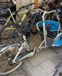 Elektrische Bakfiets Gazalle Cabby