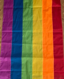 Regenboogvlag