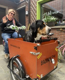Bakfiets
