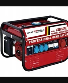 Professioneel 