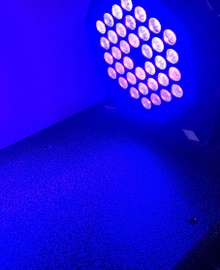 Blacklight
