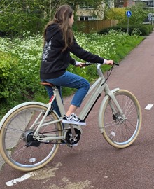 Electric Bike