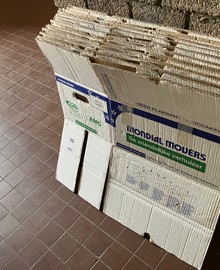 10 professionele boekenVerhuisdozen (zware kealiteit)
