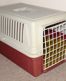 Kattenreismand