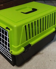 Kattenreismand