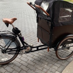 Bakfiets troy..