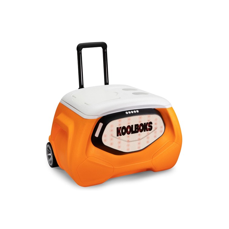 Multifunctionele Koelbox Koolboks Speaker + Powerbank