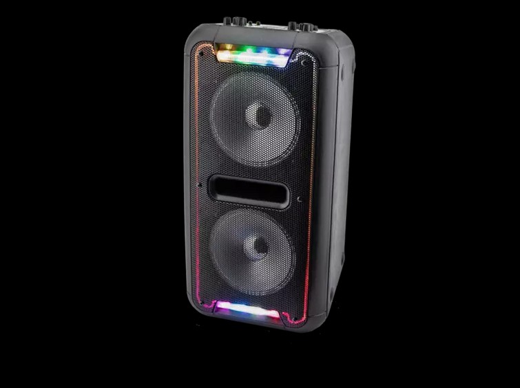 Party speaker