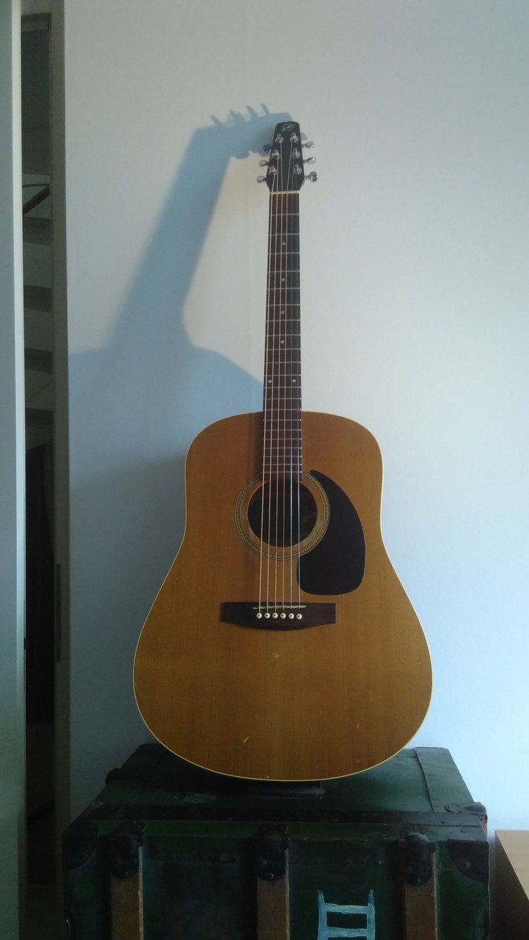 Kampvuurakkoorden Gitaar