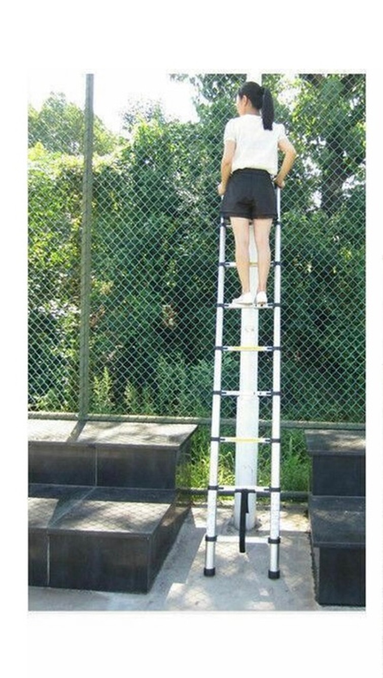 Telescoopladder