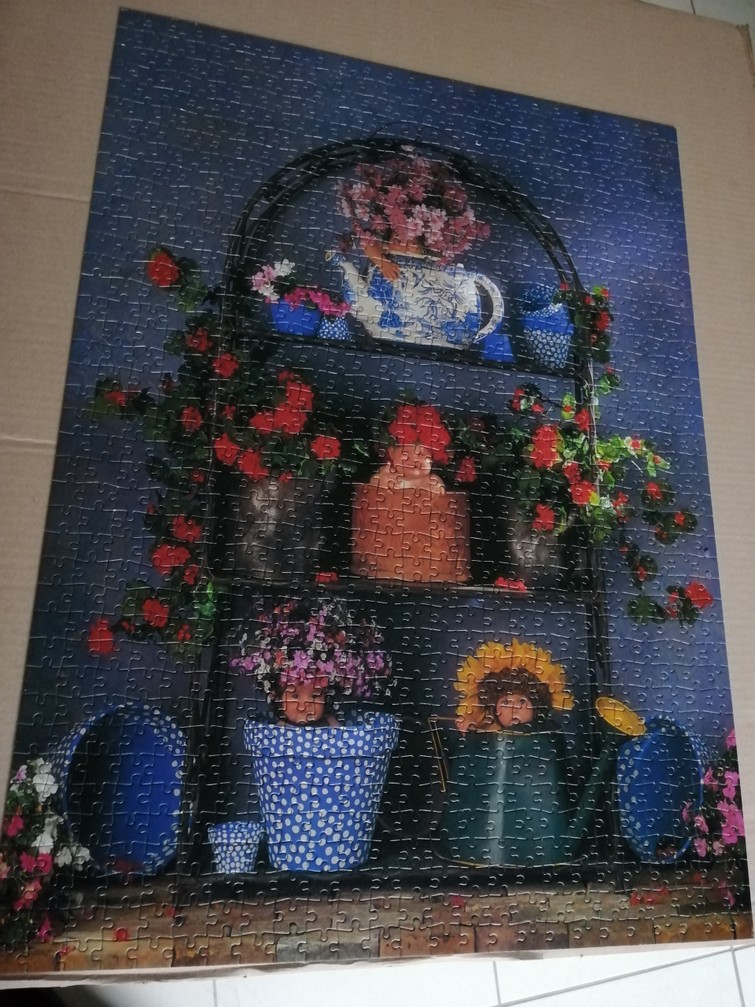 Puzzel 1000 stukjes