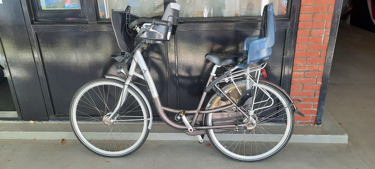 Avancer Trendy City met Bobike voor- en achterzitje