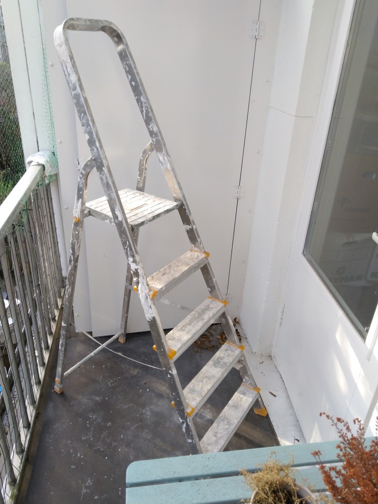 Ladder