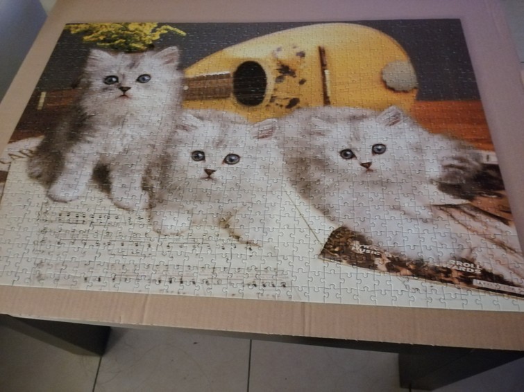 Puzzel 1000 stukjes