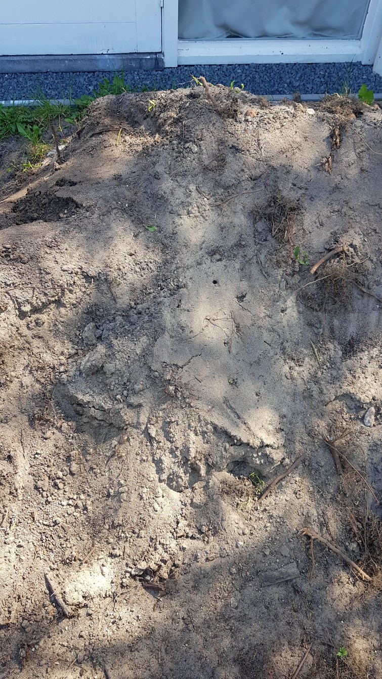 Gratis zand / grond / tuinaarde