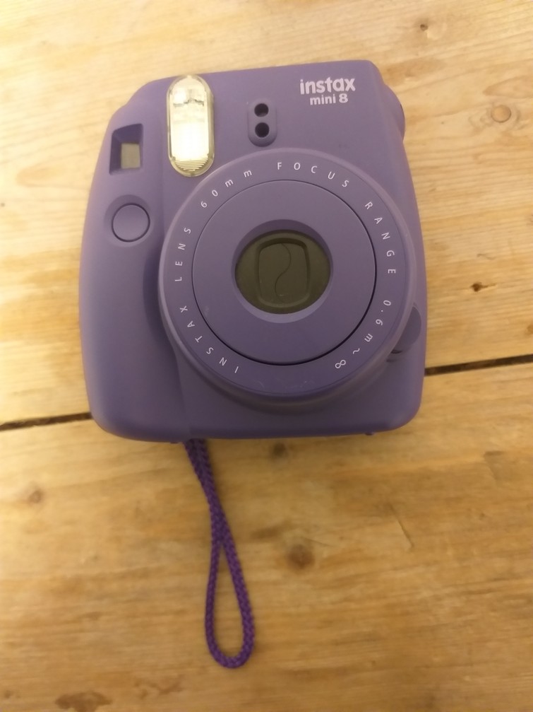Poloraid camera