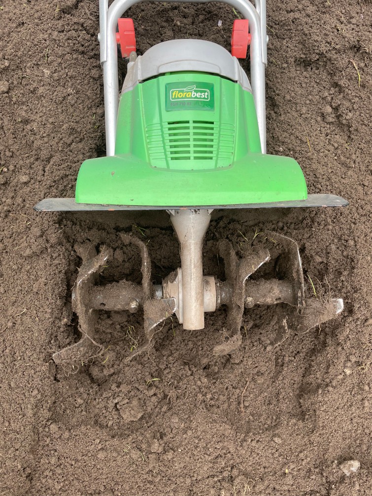 Tuinfrees