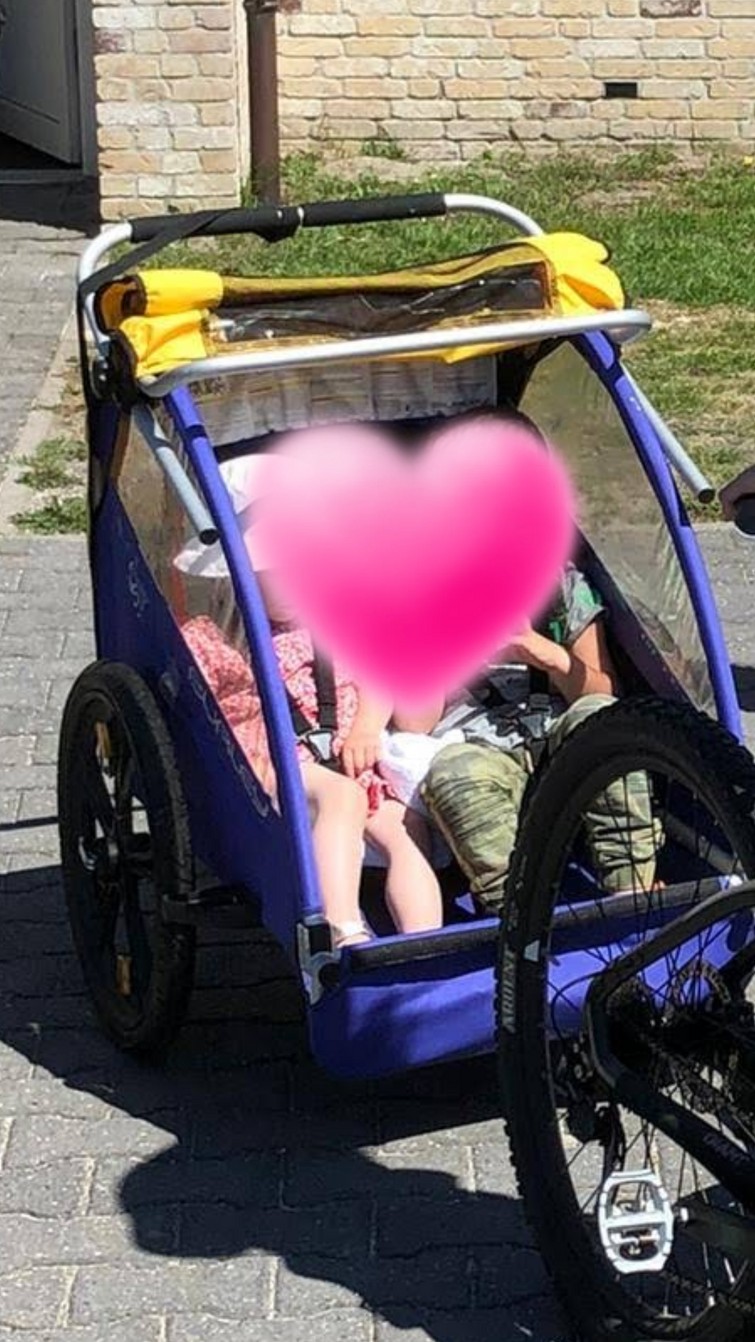 Fietskar voor 2 kinderen