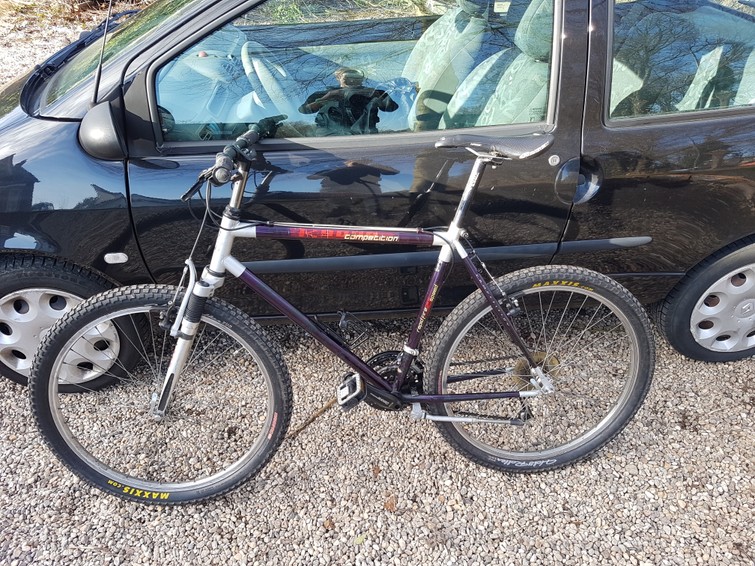Mountainbike Kyoso