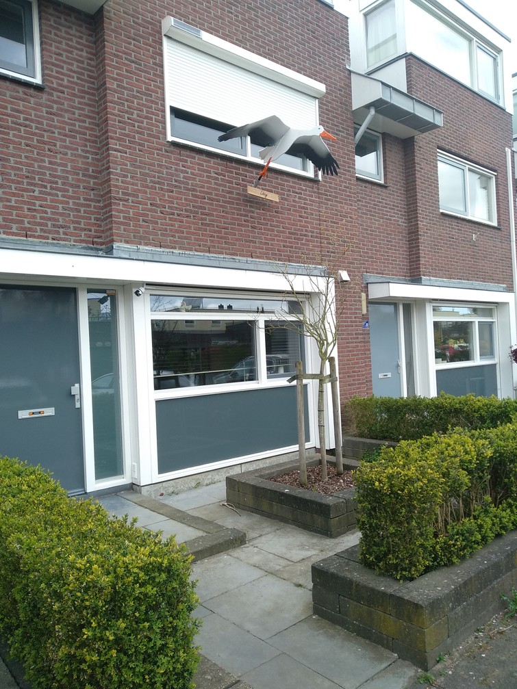 Vlaggenstok ooievaar babybord geboortebord ooievaars geboorte bord vlag