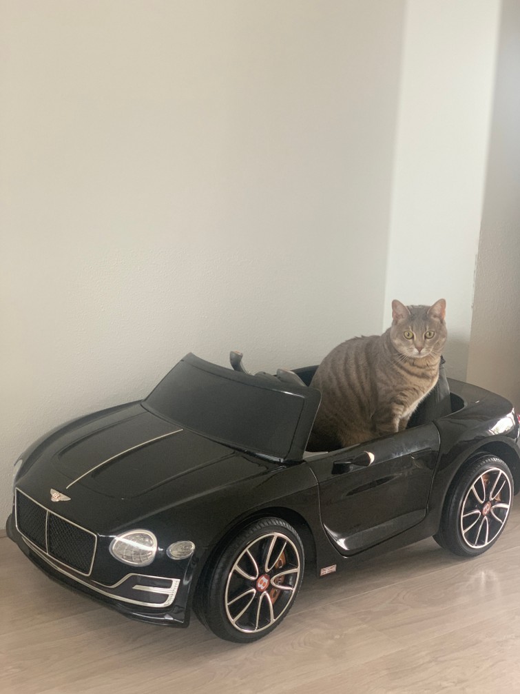 Kinder auto
