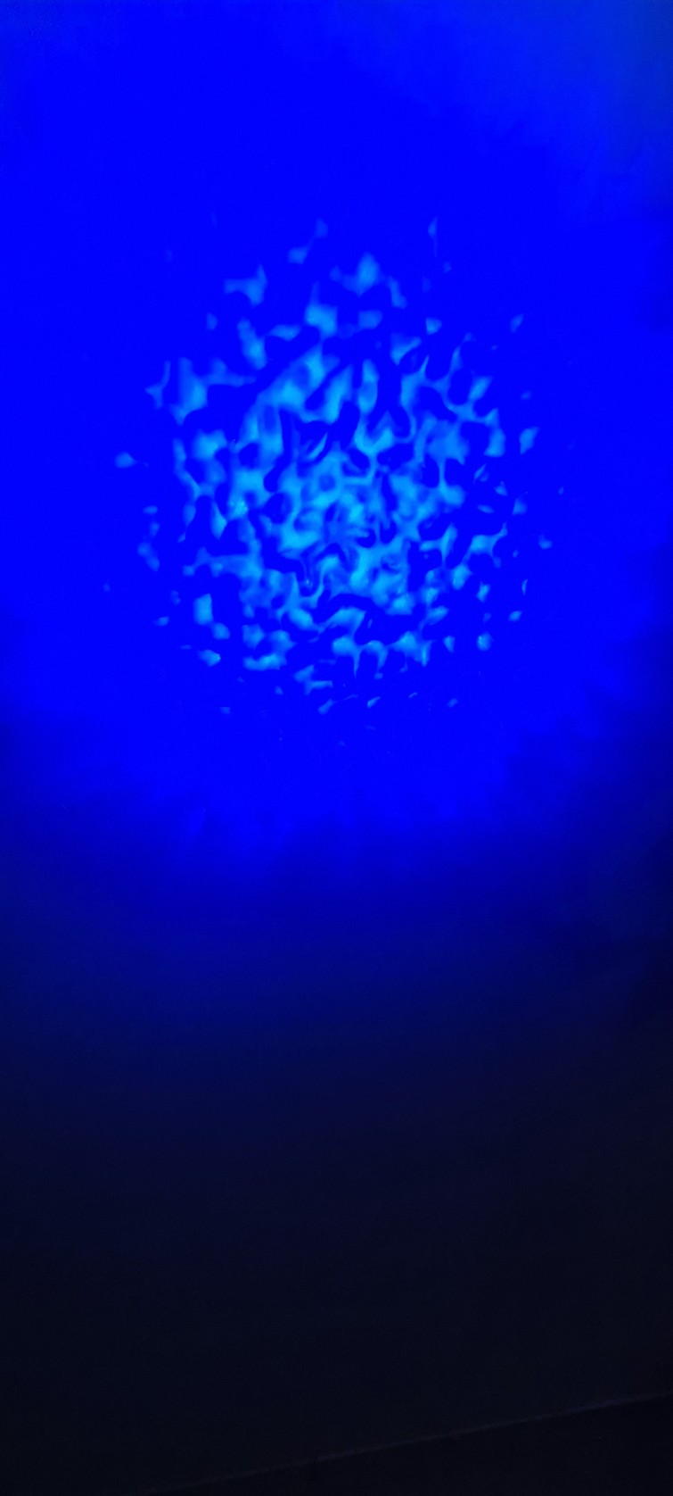 Aqua LED