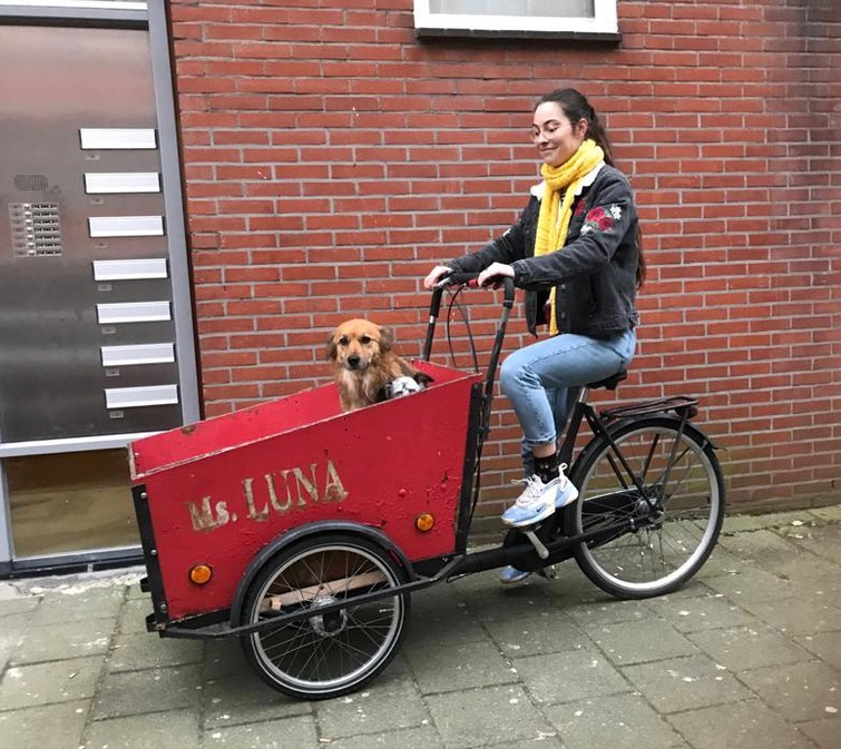 Bakfiets