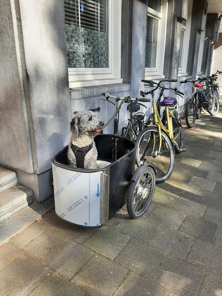Bakfiets Nihola