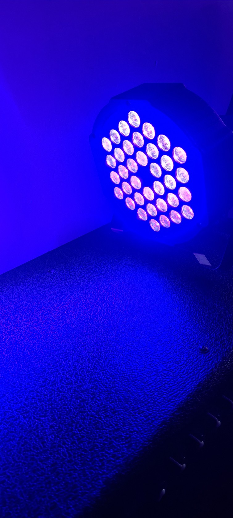 Blacklight