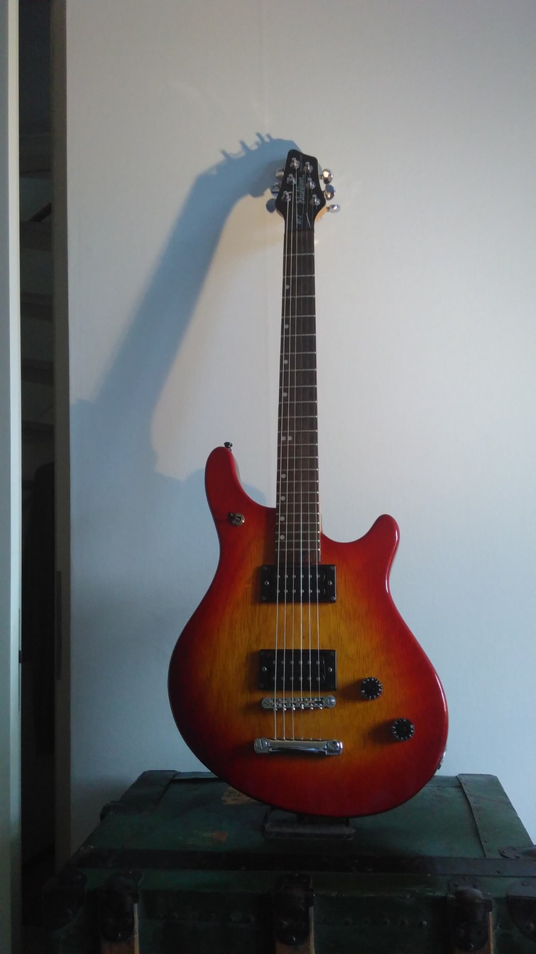 Elektrische Gitaar