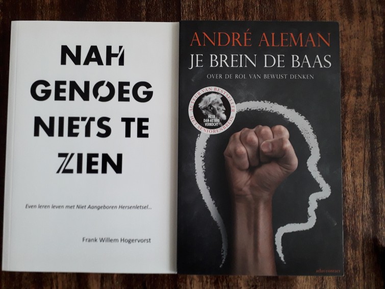 Niet aangeboren hersenletsel en het brein